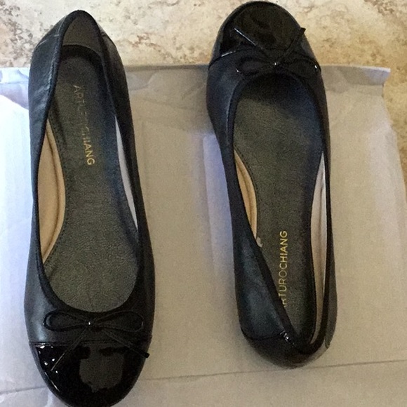 arturo chiang ballet flats